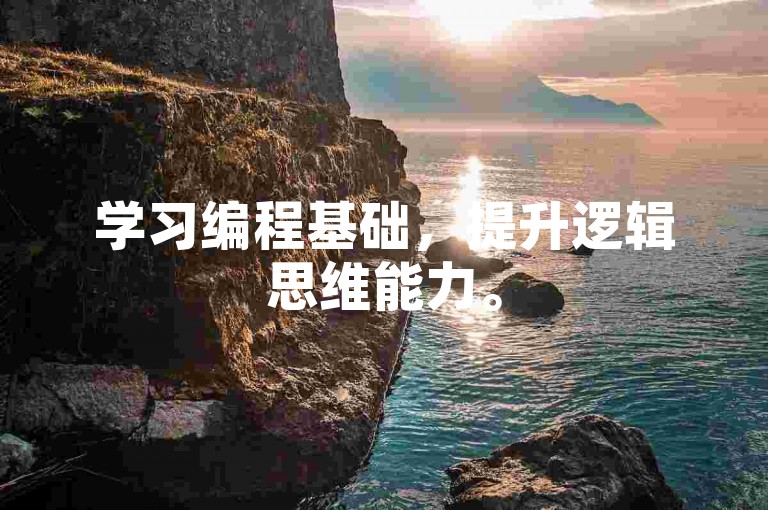 学习编程基础，提升逻辑思维能力。