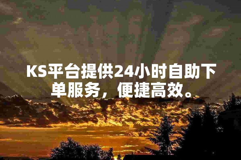 KS平台提供24小时自助下单服务，便捷高效。