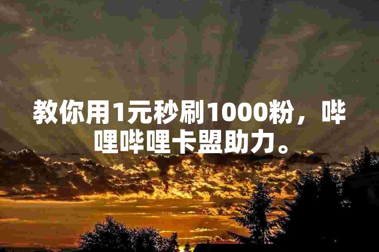 教你用1元秒刷1000粉，哔哩哔哩卡盟助力。
