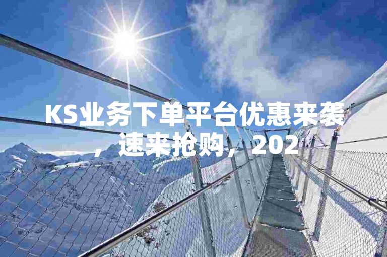 KS业务下单平台优惠来袭，速来抢购，2025必备技巧。