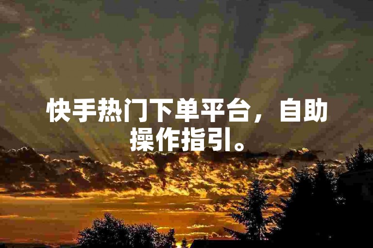 快手热门下单平台,自助操作指引。