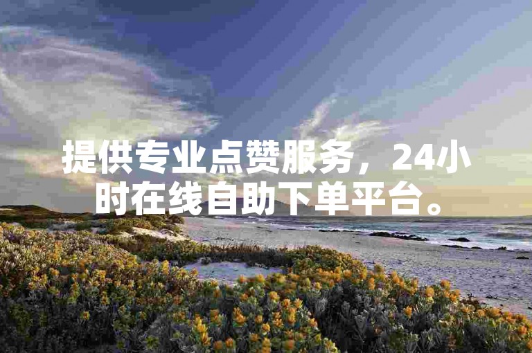 提供专业点赞服务，24小时在线自助下单平台。