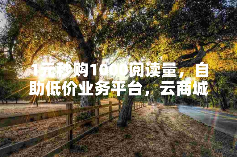 1元秒购1000阅读量，自助低价业务平台，云商城在线下单。