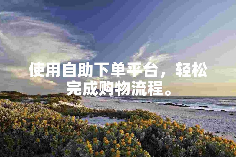 使用自助下单平台，轻松完成购物流程。