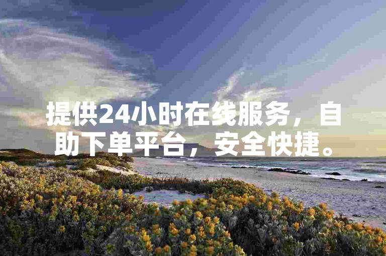 提供24小时在线服务，自助下单平台，安全快捷。