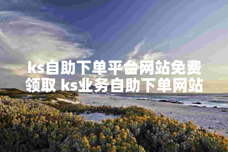 ks自助下单平台网站免费领取 ks业务自助下单网站丰易