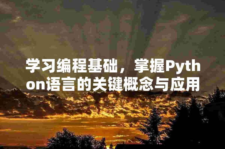 学习编程基础，掌握Python语言的关键概念与应用技巧。