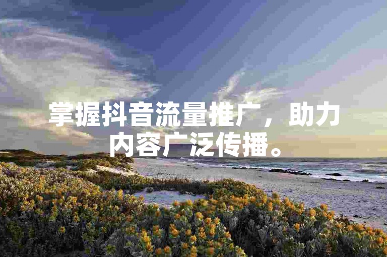 掌握抖音流量推广，助力内容广泛传播。