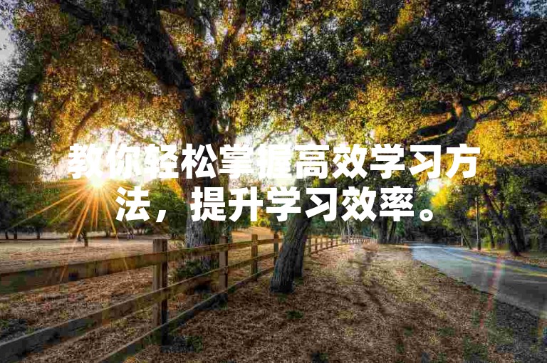 教你轻松掌握高效学习方法，提升学习效率。