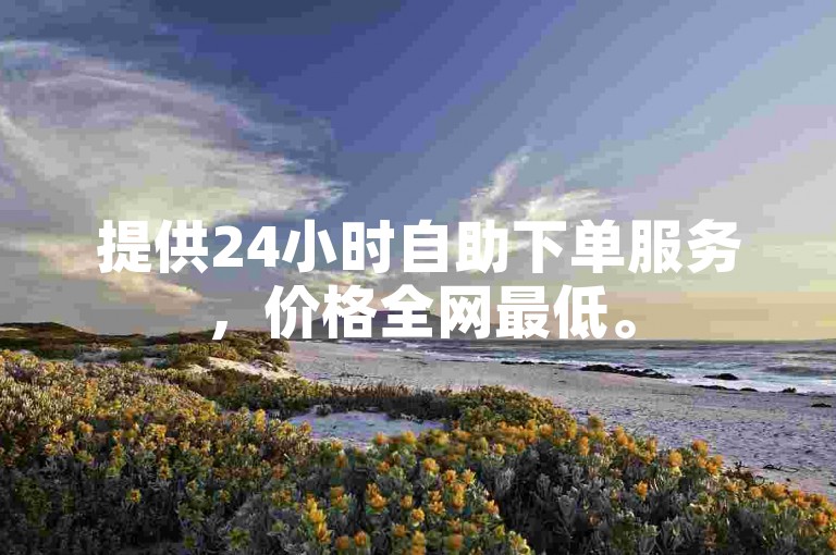提供24小时自助下单服务，价格全网最低。