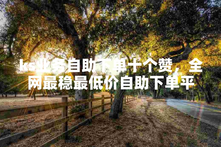 ks业务自助下单十个赞，全网最稳最低价自助下单平台。