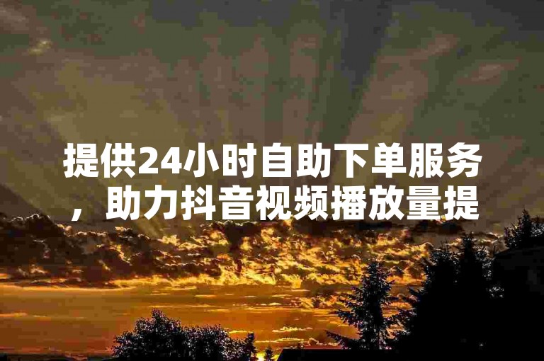 提供24小时自助下单服务，助力抖音视频播放量提升。