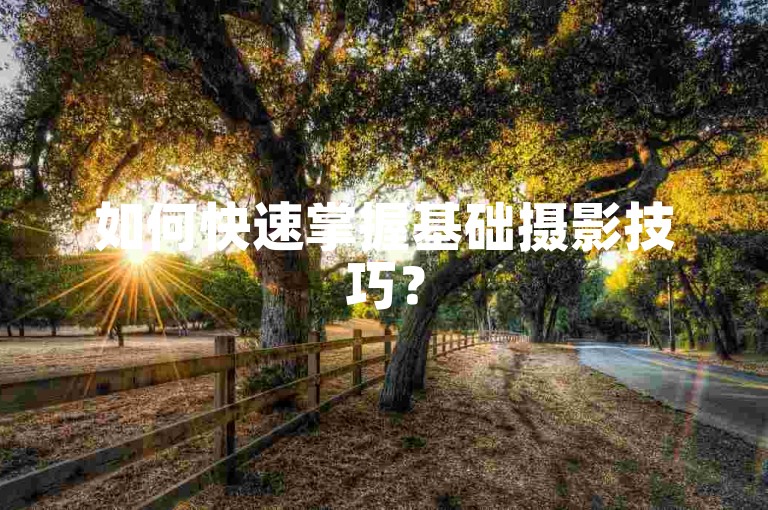 如何快速掌握基础摄影技巧？
