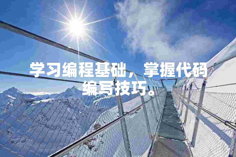 学习编程基础，掌握代码编写技巧。