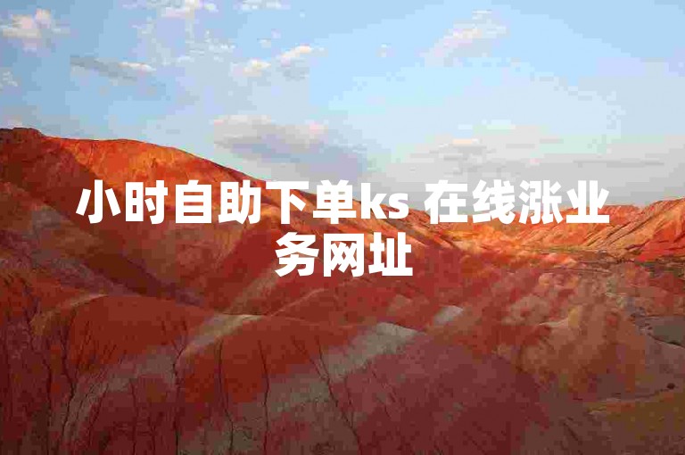 小时自助下单ks 在线涨业务网址