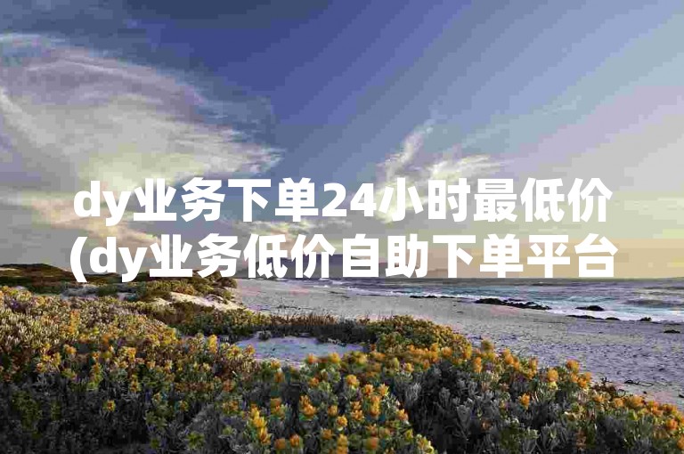 dy业务下单24小时最低价(dy业务低价自助下单平台下载)