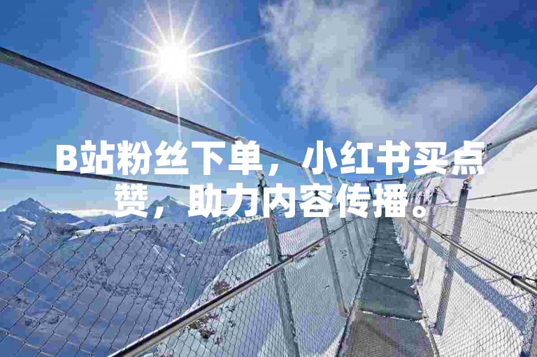 B站粉丝下单，小红书买点赞，助力内容传播。