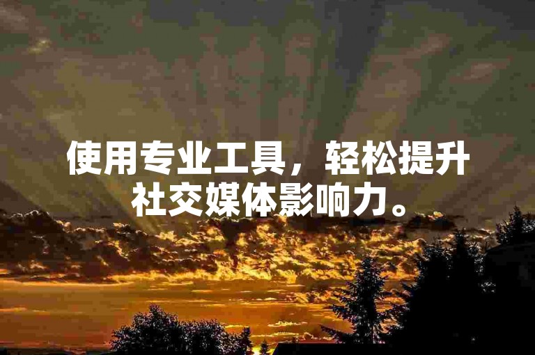 使用专业工具，轻松提升社交媒体影响力。