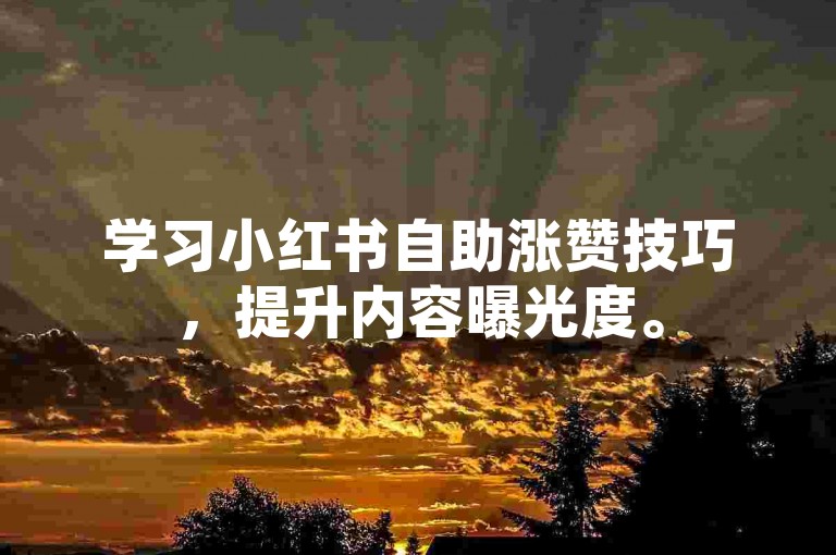 学习小红书自助涨赞技巧，提升内容曝光度。