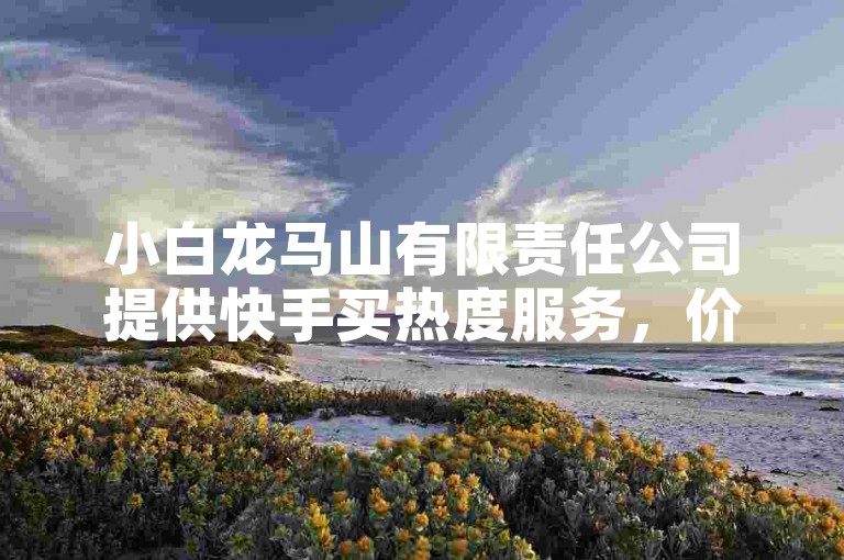 小白龙马山有限责任公司提供快手买热度服务，价格低至0.01元。