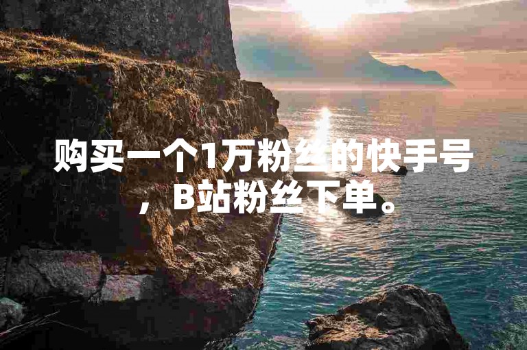 购买一个1万粉丝的快手号，B站粉丝下单。