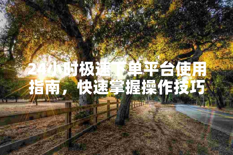 24小时极速下单平台使用指南，快速掌握操作技巧。