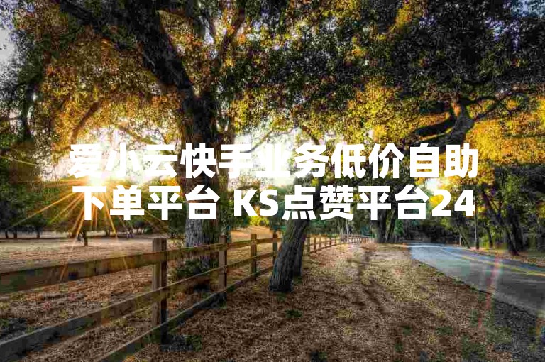 爱小云快手业务低价自助下单平台 KS点赞平台24小时自助下单全网