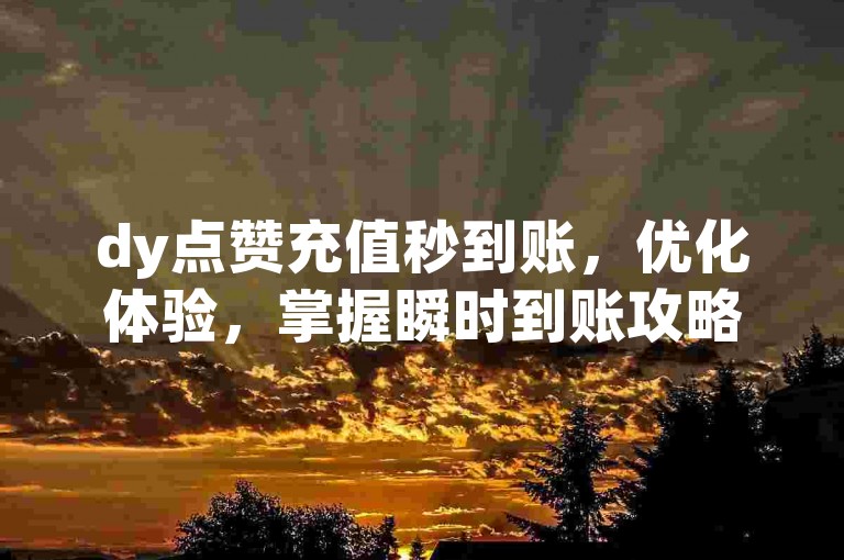 dy点赞充值秒到账，优化体验，掌握瞬时到账攻略。