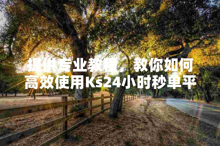 提供专业教程，教你如何高效使用Ks24小时秒单平台。