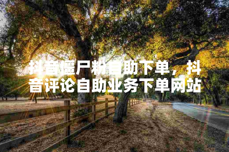 抖音僵尸粉自助下单，抖音评论自助业务下单网站。