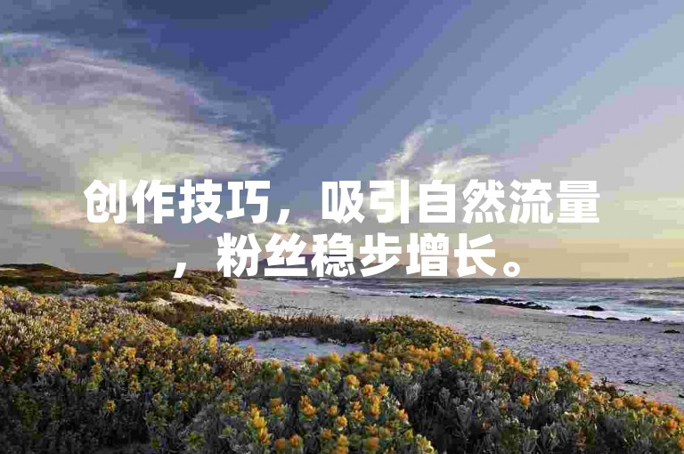创作技巧，吸引自然流量，粉丝稳步增长。