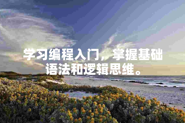 学习编程入门,掌握基础语法和逻辑思维。