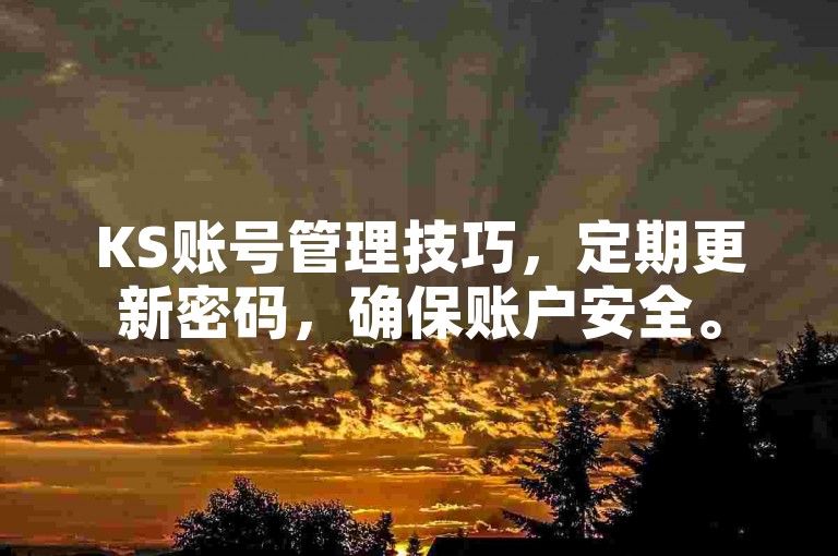 KS账号管理技巧，定期更新密码，确保账户安全。