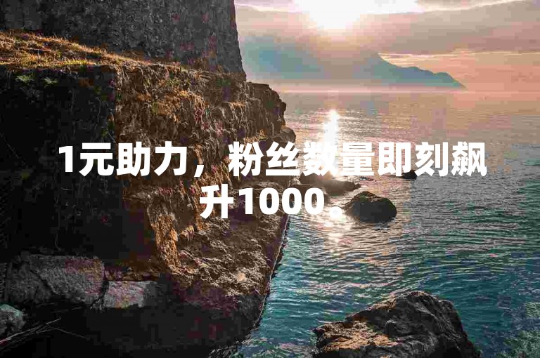 1元助力，粉丝数量即刻飙升1000。