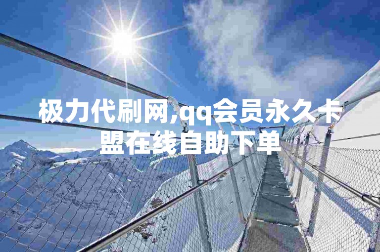 极力代刷网,qq会员永久卡盟在线自助下单