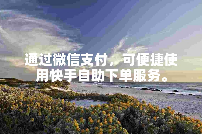 通过微信支付，可便捷使用快手自助下单服务。