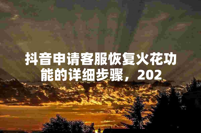 抖音申请客服恢复火花功能的详细步骤,2025年必备技能。