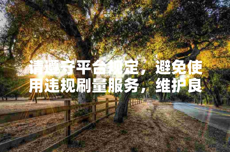 请遵守平台规定,避免使用违规刷量服务,维护良好网络环境。