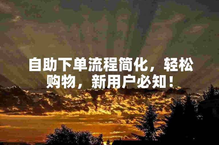 自助下单流程简化,轻松购物,新用户必知!