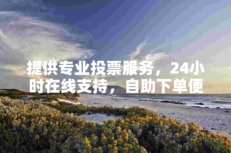提供专业投票服务，24小时在线支持，自助下单便捷。