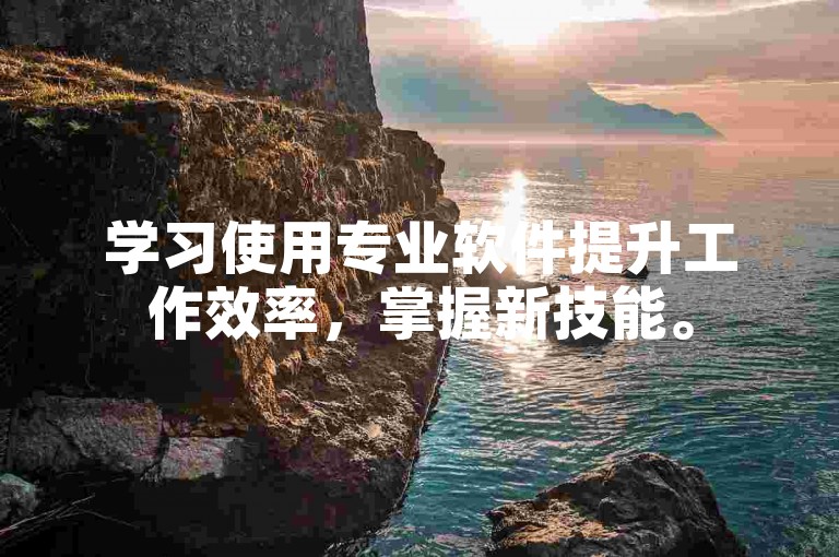 学习使用专业软件提升工作效率，掌握新技能。