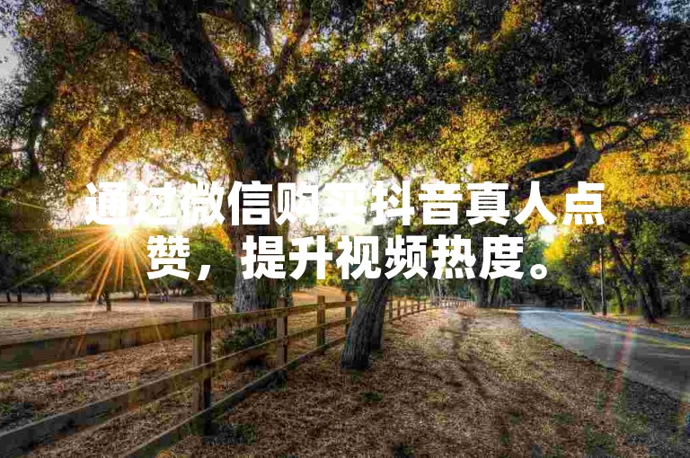 通过微信购买抖音真人点赞，提升视频热度。