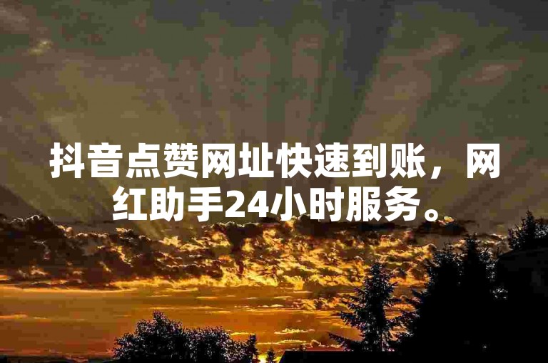 抖音点赞网址快速到账，网红助手24小时服务。