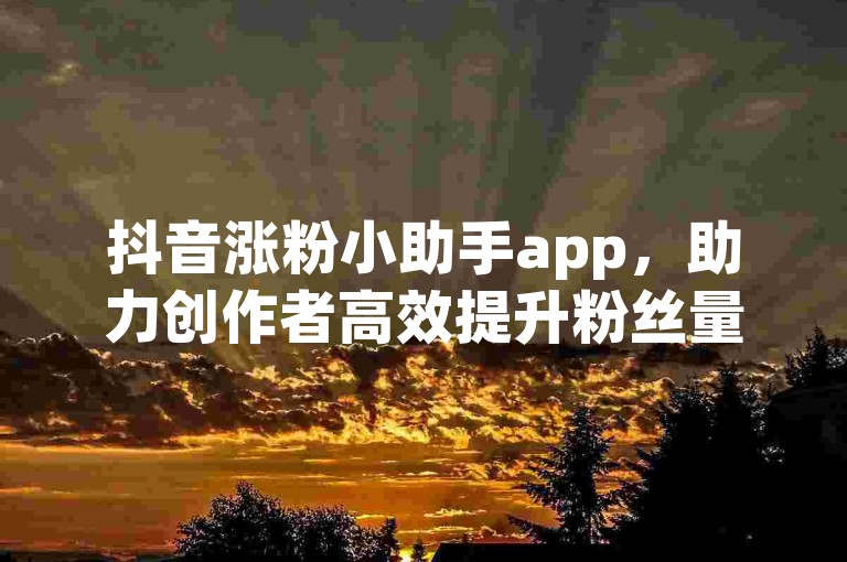 抖音涨粉小助手app，助力创作者高效提升粉丝量。