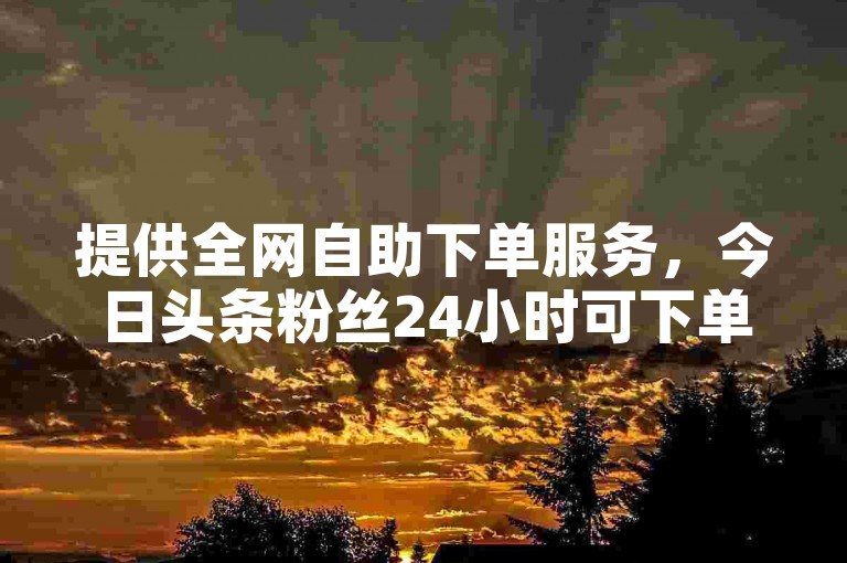 提供全网自助下单服务，今日头条粉丝24小时可下单。