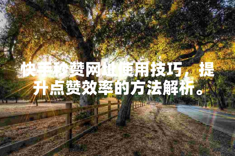 快手秒赞网址使用技巧，提升点赞效率的方法解析。