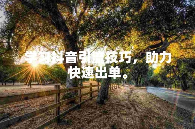 学习抖音引流技巧，助力快速出单。