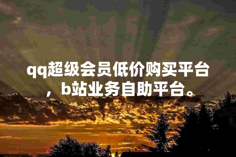 qq超级会员低价购买平台，b站业务自助平台。
