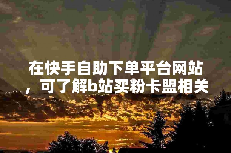 在快手自助下单平台网站，可了解b站买粉卡盟相关服务。