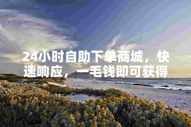 24小时自助下单商城，快速响应，一毛钱即可获得10000播放量。